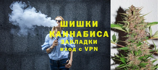 индика Нягань