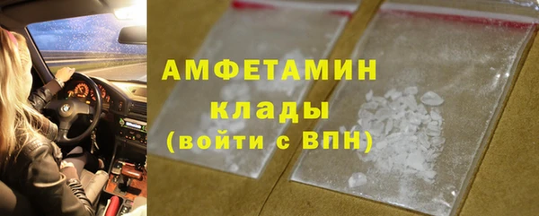 прущие грибы Богданович