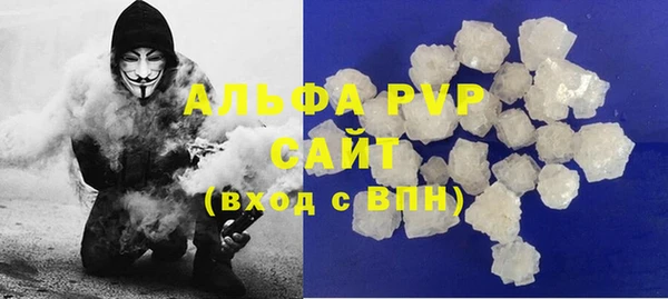 прущие грибы Богданович