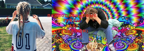 кокс Няндома