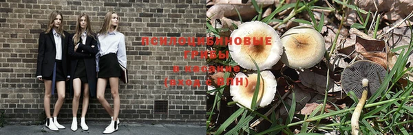 дурь Богородск