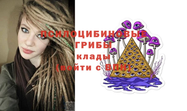 прущие грибы Богданович