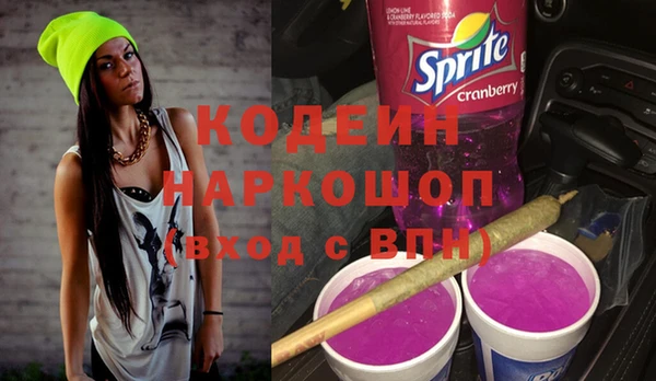 прущие грибы Богданович