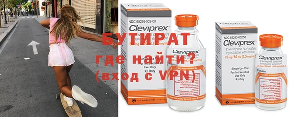 прущие грибы Богданович