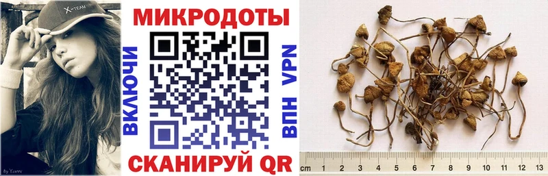 Псилоцибиновые грибы мухоморы  купить наркотик  Дубна 